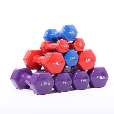 China Promotion Women Integrated Casting Dumbbell Set For Home Fitness Equipment Gym Plastic Dip Dumbbells for sale