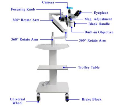 China Newest Hospital Operating Neurosurgery / Dental Surgical Ear Nose Microscope With Cheap Price for sale