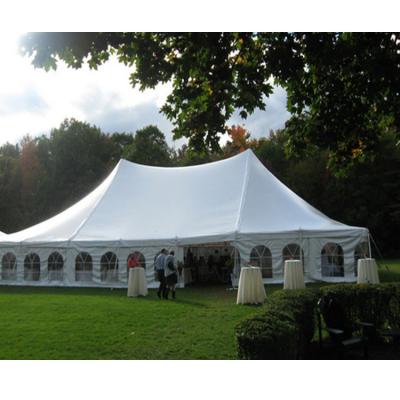 China Waterproof/Fireproof/Wind-resistant professional designer pole tent for party for sale for sale