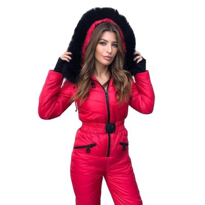 China Ski Pants Set Warm Hooded DT-P000059Waterproof Insulated Sports Jumpsuit Overalls For Women 2021 Plus Size Overalls, Playsuits for sale