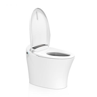 China Family Use Washing Function Good Quality Ceramic Auto Flush Automatic Close Smart Toilet With Side-pressing Part Shape for sale