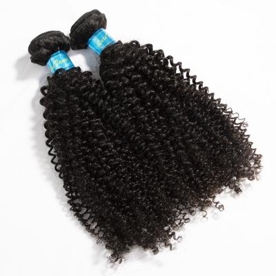 China Hot Selling Curly Loop 40inch Crochet Braids With Human Malaysian Kinky Curly Hair, Raw Malaysian Hair 8a 10a, Virgin Afro Curly Bulk Hair for sale