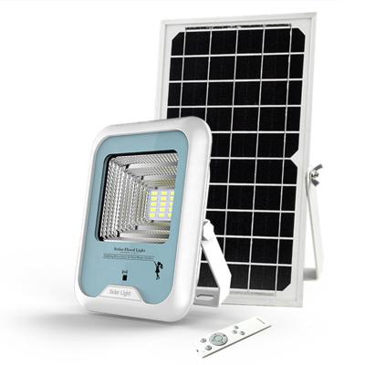 China Garden Street Light Waterproof Led Solar Flood LE1 30W Garden Light COB Outdoor Lighting Solar Led Solar Flood Light for sale