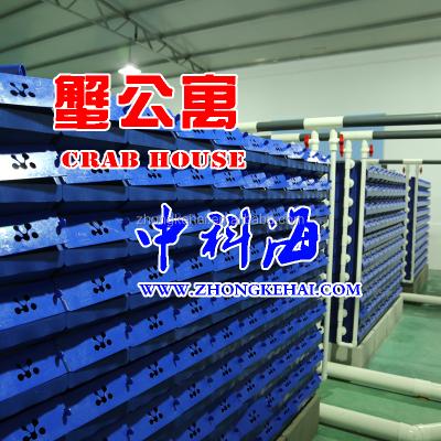 China Three-Dimensional Indoor CRAB HOUSE Crab Trap Recycling Aquaculture Crab House for sale