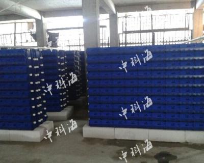 China Food Grade PP Aquaculture Equipment Indoor Soft Crab House, Mud Crab, Crab Traps for sale