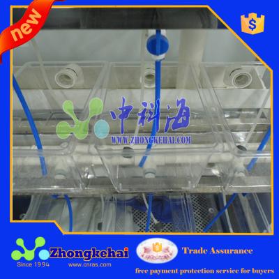 China PP Lab Small Fish Breeding System For Testing for sale