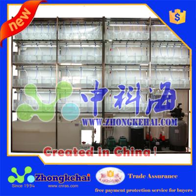 China Zebrafish Cultivation System , Zebrafish Feeding System ZKH-09 for sale