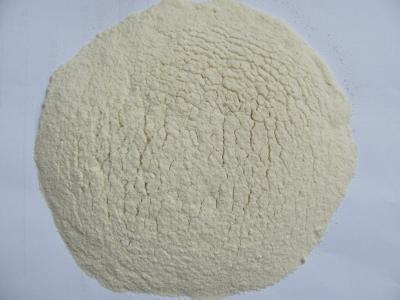 China Dried ONION POWDER GRADE A for sale