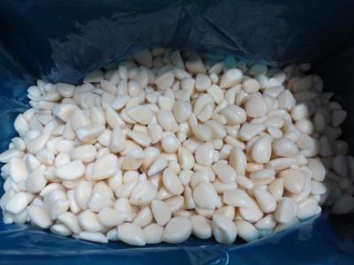 China New Product IQF frozen garlic cloves for sale