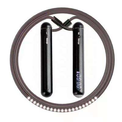 China Fitness Exercise Jump Rope New Arrival Spare Part Long Heavy Handle Jump Rope Jump Rope Fitness for sale