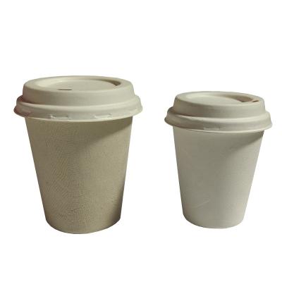 China Food Tomato Sugarcane Bagasse Paper Pulp Coffee Water Cup 8oz 9oz Eco-friendly Disposable Bagasse Coffee Cup for sale