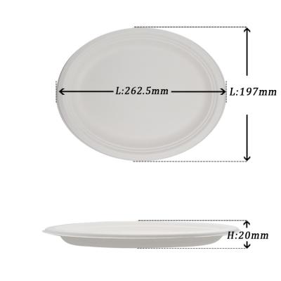 China 100% Biodegradable Disposable Bagasse Food Trays Dinnerware Set, 10 Inch Oval Sugar Cane Dish for sale