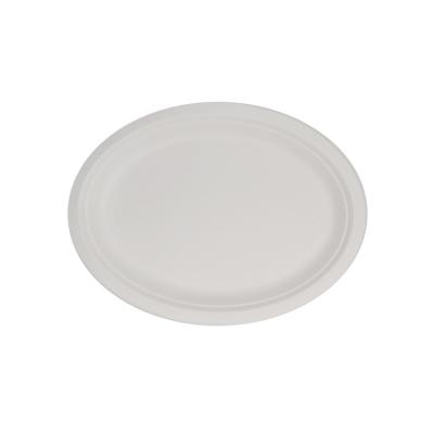 China Home Restaurant Wedding Party Hotel Compostable Disposable Oval Sugar Cane Dishes 12.5