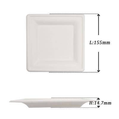 China Biodegradable food tableware dishe sugarcane restaurant domed dish 6 inch square shape for sale