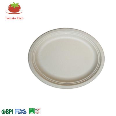 China Compostable Biodegradable Food Bagasse Pulp 10inch Oval Dish for sale