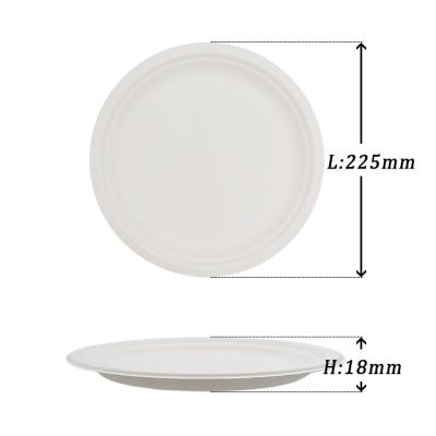 China Wholesale Biodegradable Food Factory Fiber Tableware-Sugarcane Bagasse Pulp Dishes 9inch Round Dish for sale