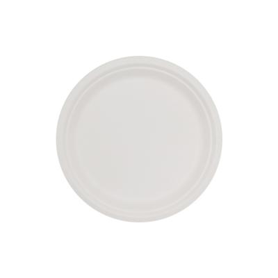 China Compostable Biodegradable Within 90 Day 10 INCH SUGARCANE COMPOSTABLE FIBER DISPOSABLE DINNER PLATE for sale