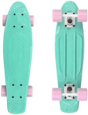 China sustainable & CE EN13613 Lightweight Complete 22inch Deck Skateboard Mini Skateboard Fish Plastic Skateboard for sale