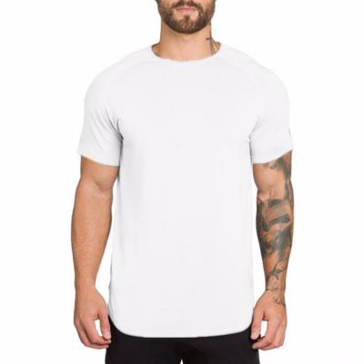 China Good Quality QUICK DRY Mens Muscle Fitted T Shirts Bulk Custom Made Gym Fitness T Shirt for sale