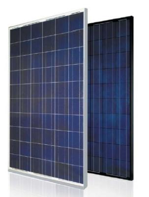 China 225W-245W Polycrystalline Solar Panel for sale