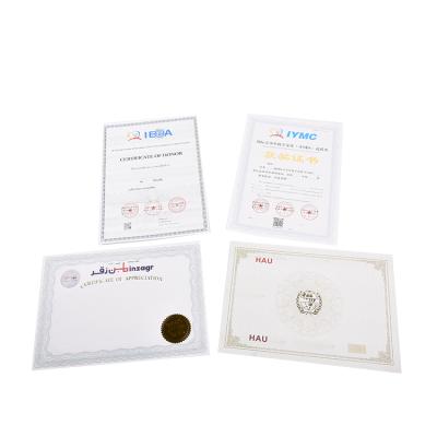 China High Security Custom Security Certificate Printing Paper / Anti-copying , Anti-counterfeiting Authentication Certificate for sale