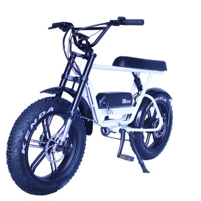 China Luxury Type 20Inch Fat Tire Electric Bicycle Iron Frame 750W Electric Motor Fat Bike for sale