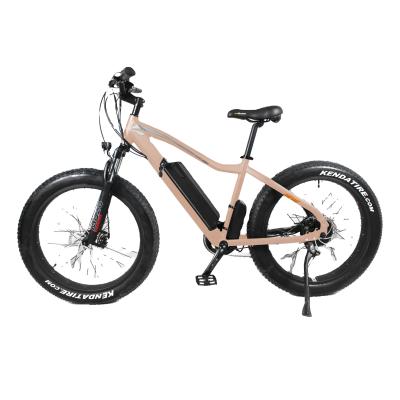 China Luxury Type Electric Bicycle 26