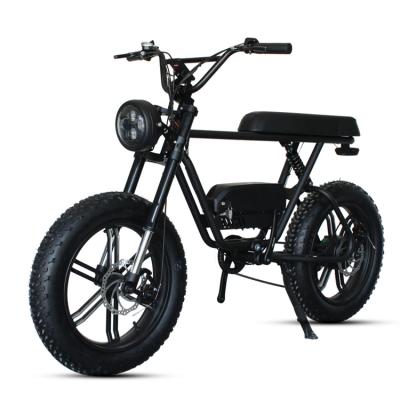 China Luxury Type Long Full Seat Suspension 750W Fat Tire 20