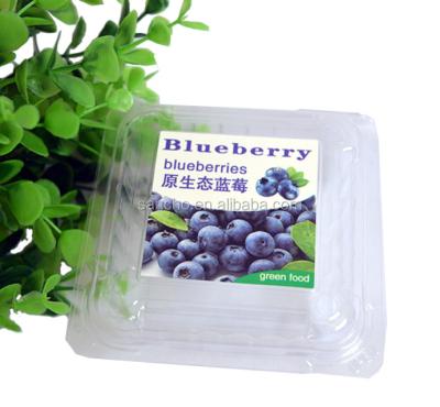 China Custom or Factory Wholesale Recyclable PET 125g Blister Clamshell Blueberry Packaging Box For Fruit for sale