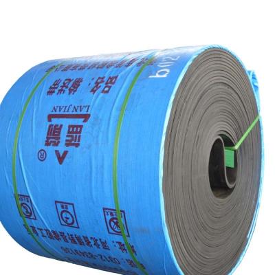 China One Year Warranty Nn100-500 Strong Nylon Canvas Tear-Resistant Conveyor Belt for sale