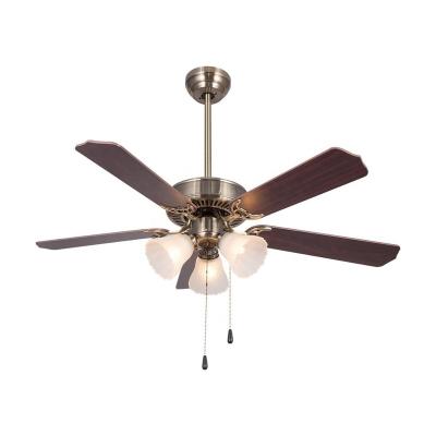 China Simple Modern Electric Rv Ac Dc Led Ceiling Fans With Light Ceiling Fan for sale