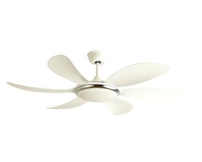 China 2019 new products living room low watt white electric ceiling fan with remote ceiling fan 220 v for sale