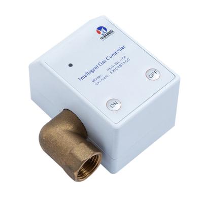 China Professional Manufacturer Household Gas Alarm System Gas Switch Measurement and Control Instrument 15A for sale