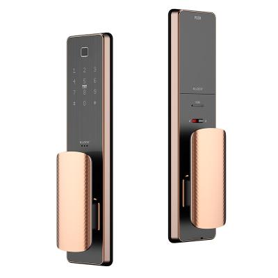 China Fashionable Convenient WiFi Electronic Password APP Face Recognition Smart Door Lock With Fingerprint K300 for sale