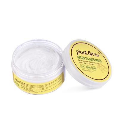 China In Current Wholesale Private Label Argan Oil Hair Treatment Mask for sale