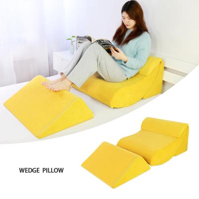 China 2021 Anti-Static New Design Orthopedic Snoring Set Back and Leg Pain Relief Pillow and Back Support Sleep Couch for sale