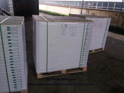 China Size anti-bend: 100 x 70 cm folding box board 300 GSM / 350 gsm ivory carton for sale