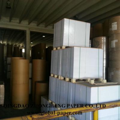 China FBB Anti-Curvature Triplex / Folding Triplex Box / Carton Board for sale