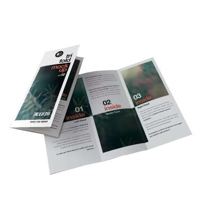 China Eco-friendly Custom A4 Flyer Brochures Poster Insects Map Cheap Printing for sale