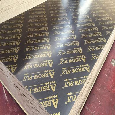 China 10-14times 18mm arrow ply phenolic board for philipphine market for sale