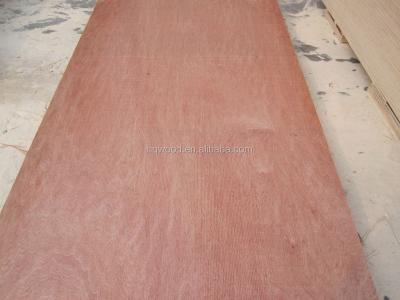 China Marine Plywood Exterior Hardwoods Plywood /Eucalyptus Boat Plywood Water Proof Plywood for sale