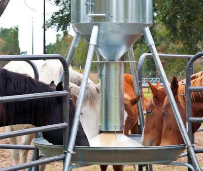 China Automatic Horse Feeders Livestock Cost And Save Livestock Goat Feed Smart Automatic Feeders For Horse for sale