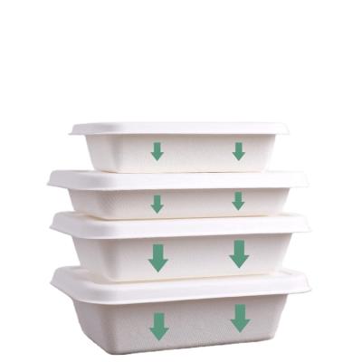 China Environmentally Friendly Disposable Biodegradable Sugarcane Pulp Box Packaging 600ML Disposable Biodegradable Fast Food Box Eco-Friendly Box for sale