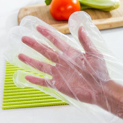 China Water proof pe transparent clear gloves disposable food bbq gloves factory price for sale