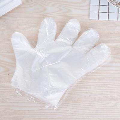 China Modern life polythene clear pe LDPE disposable plastic food service gloves for sale