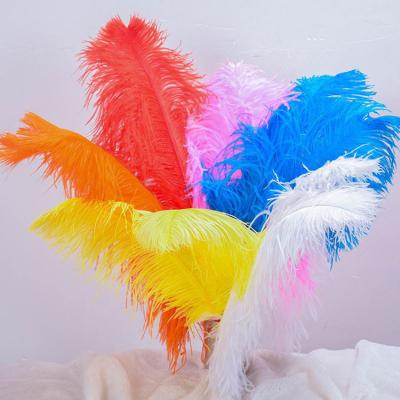 China 15-20cm Feather Home Decor Wedding Stage Dyed Ostrich Feathers à venda