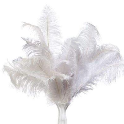 중국 45-50cm White Ostrich Feather Wedding Arrangement Feather Decor 판매용