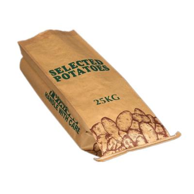 China Biodegradable 1.5kg 5kg 10kg 25 kg potato onion packaging bag paper bag with handle mesh net window for sale