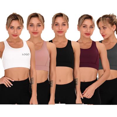 China Dot Sports Bra Shockproof Mesh Breathable Jacquard Breathable Fashion Fitness Underwear Yoga Wear Vest for sale