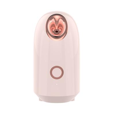 China 2021 New Arrival Portable Mini Facial Steamer Face Steamer DEEPLY CLEANING Professional Te koop